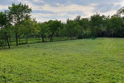 Casă cu 4 camere cu Teren 1600 Mp în Orțișoara - 8