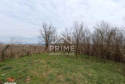 Teren de 1295 mp, în Berghin - 1