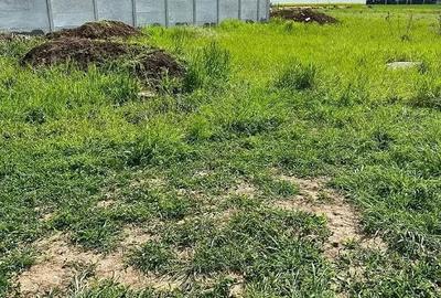 Teren de 374 mp, în Berceni - 4