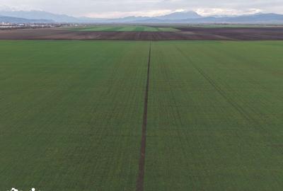 Teren de 20000 mp, în Central - 3