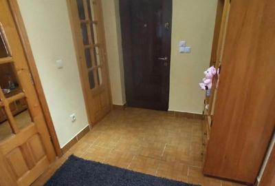 Apartament cu 2 camere decomandat în Ilișești - 8