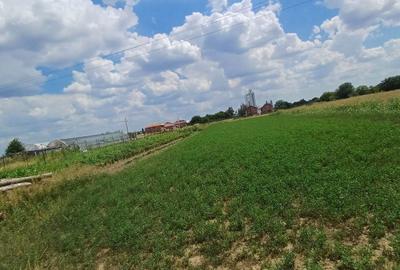 Teren de 1000 mp, în Șag - 2