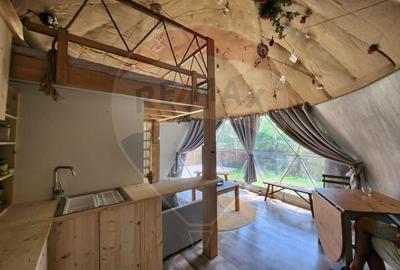 Teren extravilan de 1046 mp, în Valea Borcutului - 6