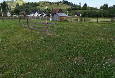 Teren de vanzare intravilan in Bucovina Breaza - 10