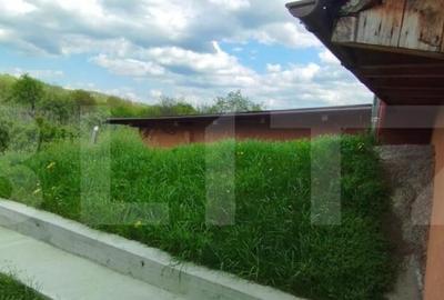 Casa+ casa vacanta, 2200 mp livada, Schitu-Duca - 1