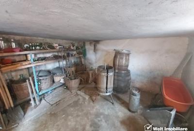 Casă individuală cu 3 camere cu Canalizare în Ceanu Mic - 8