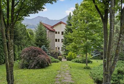Domeniul Carpați - Vilă cu parc privat si panoramă montană ideal Airbnb/Booking - 37