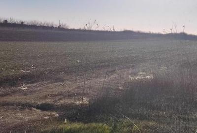 Teren de 830 mp, în Mogoșești - 3
