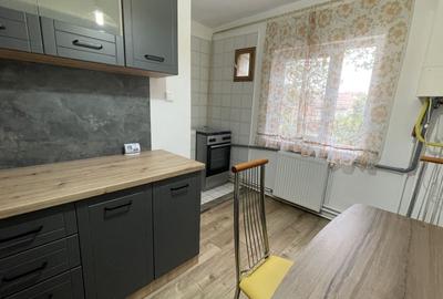 Apartament cu 2 camere decomandat, mobilat în Bucovina - 13