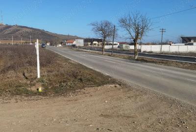 Teren de 900 mp, în Mahmudia