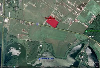 Vind teren la Cernica 45000 mp PUZ Aprobat Complex rezidential paradis - 1