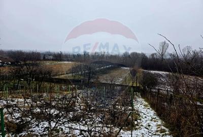 Teren Construcții intravilan de 4516 mp, în Doina - 15