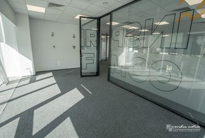 Birouri 216 mp Brancusi - 4