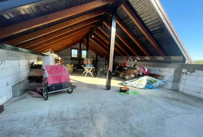 Casa familiala bine compartimentata cu garaj dublu - 1