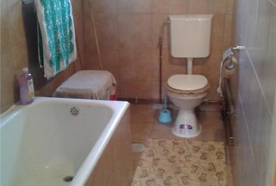 Casă cu 3 camere cu Teren 10000 Mp în Gherteniș - 16