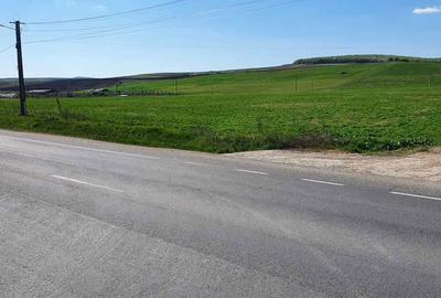 Teren de 10000 mp, în Iclod - 6