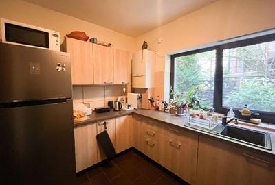 Relaxare la liziera Padurii Baneasa, Bucuresti Sector 1, zona Liceul Francez - 11