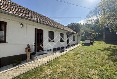 Casa individuala in Talmacel - teren 1107 mp, mobilata - 16
