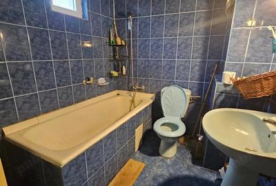 Casa de vacan?a pensiune de vanzare in comuna Salatrucu ( Valea Topologului), Jude? Arge?. - 6