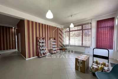Apartament la parter Chisodei Timisoara - 2