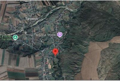 Teren de 2112 mp, în Târpești - 4