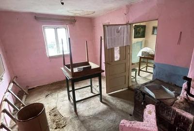 Casă cu 2 camere cu Teren 436 Mp în Plopu - 3