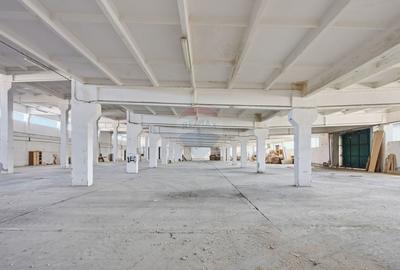 Teren Construcții intravilan de 44425 mp, în Est - 6