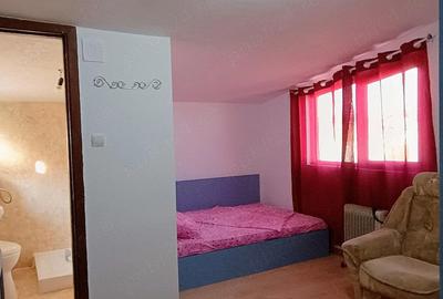 Garsonieră decomandată în Central - 5