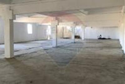 Spațiu industrial, de 630 mp, în Aluniș - 2