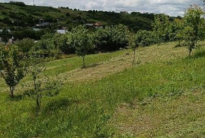 Teren Construcții intravilan de 1500 mp, în Vorovești - 5