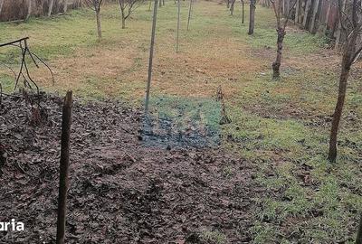 Casă cu 3 camere cu Canalizare în Central - 4