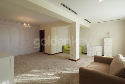 Penthouse cu 5 camere decomandat, mobilat în Herăstrău - 14