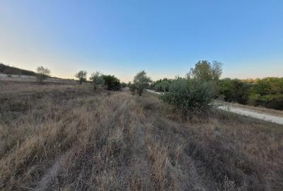 Teren agricol extravilan de 14000 mp, în Cernavodă