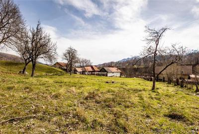 FILM! Pe domeniu de 6.500 mp teren, casa parinteasca, in mag - 4