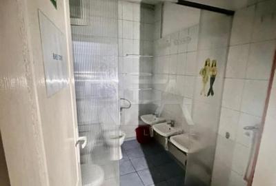 Casă cu 8 camere cu Canalizare în Parcul Carol - 15