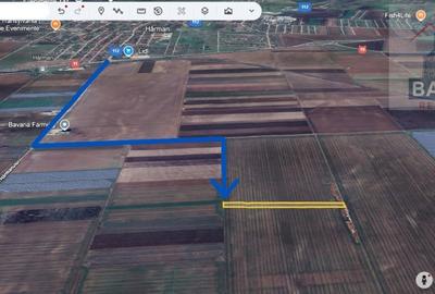 Teren extravilan de vanzare - 10 000 mp -Sud Harman - 3
