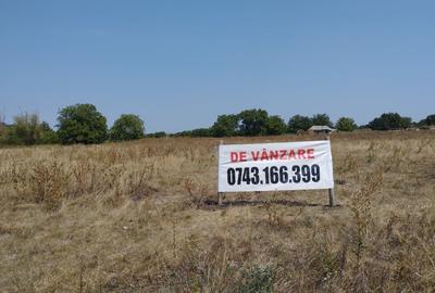 Teren intravilan exterior Est zona Metale internațional - 12