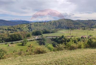 Teren Construcții intravilan de 1500 mp, în Damiș - 12