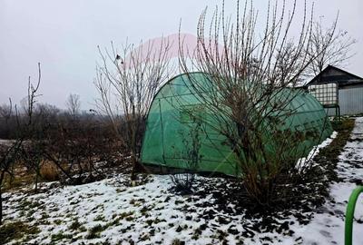 Teren Construcții intravilan de 4516 mp, în Doina - 17