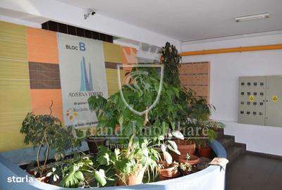 Apartament cu 2 camere, mobilat în Bună Ziua - 5