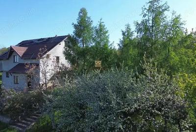 Teren 4800 mp cu Livada si Casa Nefinalizata - Adancata! - 10