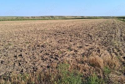 Teren de 28500 mp, în Central - 4