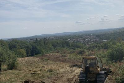 Teren de 5000 mp, în Baia de Fier - 5