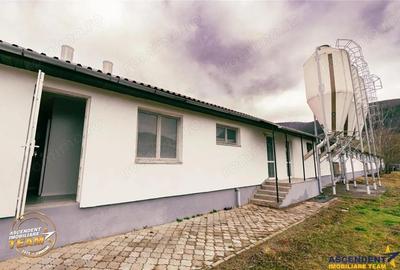 FILM! Ferma de iepuri,Malnas,Covasna: domeniu industrial comercial,asset UE - 8