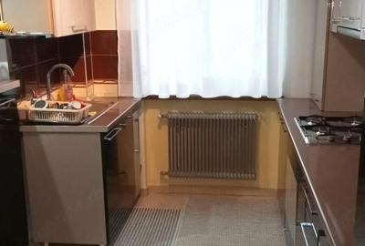 Apartament cu 2 camere semidecomandat în Săsar - 5