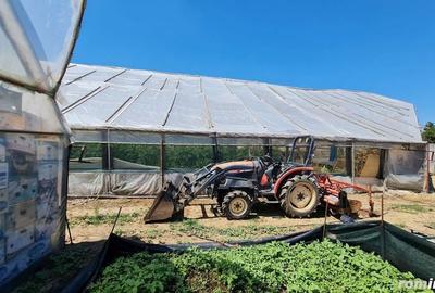 Spațiu comercial, de 11,000 mp, în Ulmi - 9