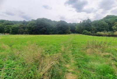 Teren superb Rasnov str Izvorului Cartierul Primaverii - 10