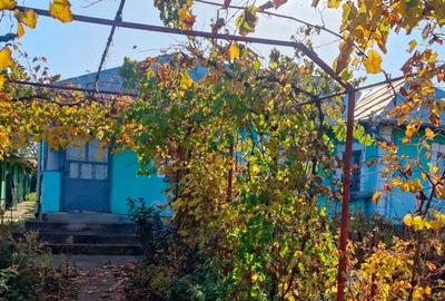 Casă de vânzare în comuna Perișor, județul Dolj - 10