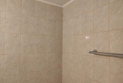 Apartament cu 3 camere semidecomandat în Banu Manta - 10