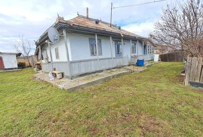 Casă individuală cu 2 camere cu Teren 3933 Mp în Curtești - 3